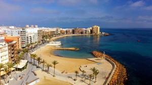 an aerial view of a beach with palm trees and buildings at Apartment 8 pers, equipped, 1 min Playa del Cura - 27B in Torrevieja
