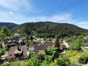 a village in the mountains with houses and trees at Ferienwohnung Am Rubersbach in Hornberg