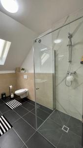 ein Bad mit einer Glasdusche und einem WC in der Unterkunft Ferienwohnung in Schönbrunn in Schönbrunn