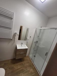 ein Bad mit einer Dusche und einem Waschbecken in der Unterkunft Restauracja & Hotel Polowczyk 