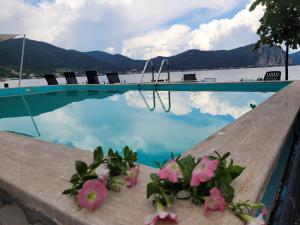 a swimming pool with pink flowers on a ledge at Casa BeaSarah. in Dubova