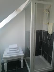 a bathroom with a shower and a toilet in it at Radharc Na Greine in Cork