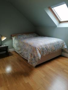 1 dormitorio con 1 cama en una habitación con ventana en Radharc Na Greine, en Cork