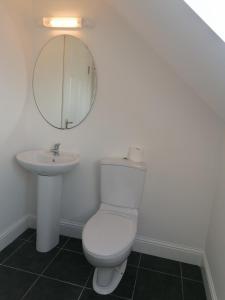 łazienka z toaletą i umywalką w obiekcie Radharc Na Greine w Cork