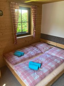 Postel nebo postele na pokoji v ubytování Chalupa Nella