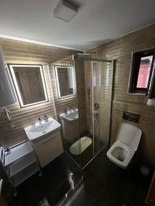 ein Bad mit einem WC, einem Waschbecken und einer Dusche in der Unterkunft Vikendica Krlic in Mitrovac