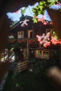 Zahrada ubytování Cabana Bendis