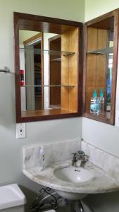 a bathroom with a sink and a mirror at Waipio Studio Apartment in Kukuihaele