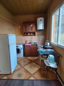 una cucina con frigorifero, tavolo e forno a microonde di Dito’s house a Katsʼkhi