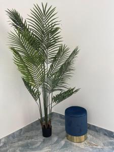 a palm tree in a vase on a table at Luxury Blue House in Naples