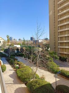 a tree on a sidewalk next to a building at Bellavista Dardignac 28 in Santiago