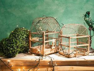 dos jaulas de aves sentadas sobre una mesa en Dar Isla, in the heart of the Three Cities, Malta, en Senglea