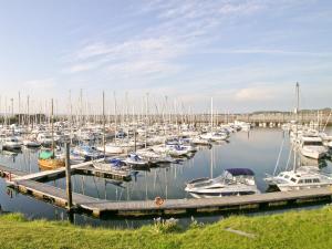 a bunch of boats docked in a marina at Ardmore in Largs