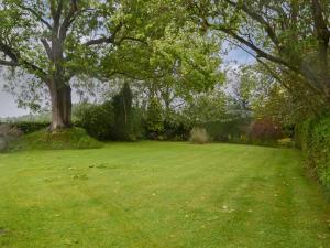 ein großer grüner Hof mit einem großen Baum darin in der Unterkunft Glebe Farm Bungalow in Market Rasen