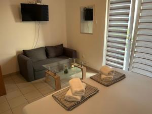 a living room with a couch and a glass table at DIN Ljubic in Mimice