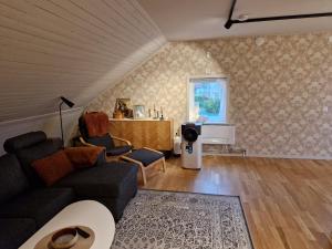 een woonkamer met een bank en een tv bij Eldaren in Tranås