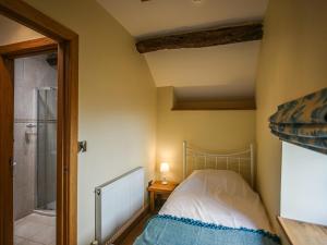 a bedroom with a bed and a shower at Pentre Cottage in Meifod