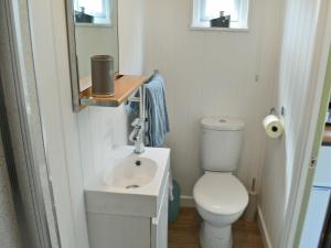 a small bathroom with a toilet and a sink at The Wool Shed in Saint Ewe