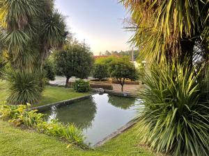 Φωτογραφία από το άλμπουμ του Casa de Rio Trutas σε Madancos
