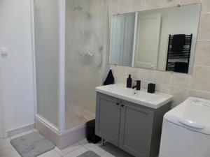 a white bathroom with a sink and a shower at « Le Michelet »un cocon en ville in Saint-Étienne