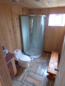 a bathroom with a shower and a toilet and a sink at Cabañas Austral Rivers in Puelo