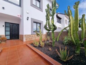 Imagen de la galería de ideal remote work, relaxing, pool and surfing, en Corralejo
