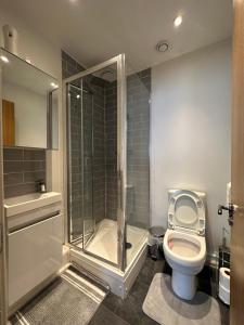 a bathroom with a toilet and a walk in shower at ABBA Heights in London