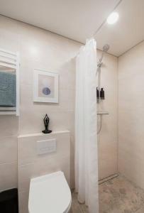 a white bathroom with a toilet and a shower at Apartment in Žvėrynas in Vilnius