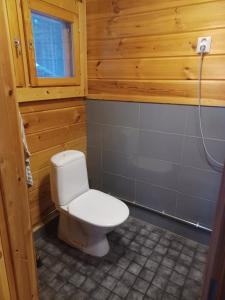 a bathroom with a white toilet in a room at Jamali Cabin in Lieksa