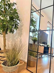 a mirror and two potted plants in a room at BEAUTIFUL WINDSOR 2 BED, PERFECT LOCATION, 5 Mins Walk to Centre, Private Gated Parking, Legoland, Ascot in Windsor