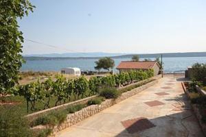a walkway next to a field of vines and the water at Apartments Pašman in Banj