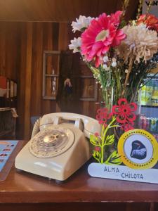 Fotografie z fotogalerie ubytování ALMA CHILOTA v destinaci Castro