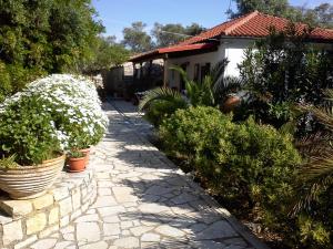 A garden outside Villa Elvira