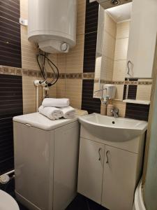 Koupelna v ubytování Epicentar apartment
