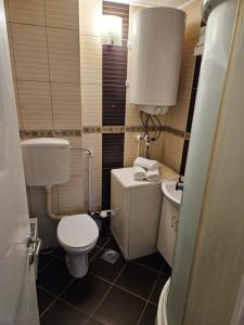 a small bathroom with a toilet and a sink at Epicentar apartment in Loznica