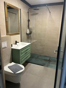 uma casa de banho com um WC, um lavatório e um chuveiro em vivo residence ,AMETHYST em Floresti