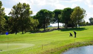 un hombre y un perro en un campo de golf en Appartamento Verde Golf en Miglianico