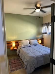 een slaapkamer met een blauw bed en een plafondventilator bij Habitación 23 - Green Casitas in Ensenada