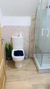 a bathroom with a toilet and a glass shower at The elegant Garden Room in Blackpool