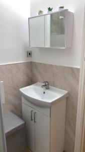 een badkamer met een witte wastafel en een spiegel bij The elegant Garden Room in Blackpool