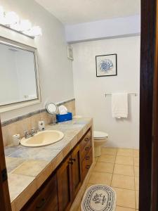 a bathroom with a sink and a toilet at Villa La Fortuna Altos del Maria in Filipina