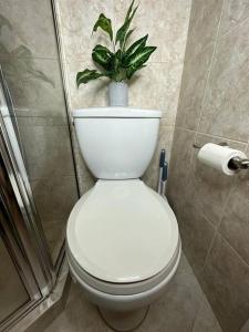 a bathroom with a toilet with a plant on top of it at Sleeps 3, Casa Tropical in Miami in Miami