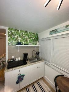 a kitchen with a sink and a counter top at Sleeps 3, Casa Tropical in Miami in Miami