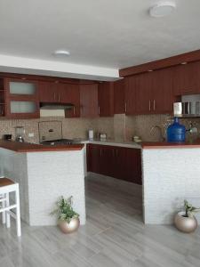 a kitchen with wooden cabinets and a counter top at Elsita departamento vacacional in Baños