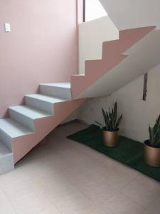 a staircase in a room with two potted plants at Elsita departamento vacacional in Baños
