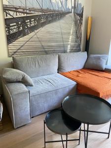 a living room with a couch and a table at Room in flat 174 in Ghent