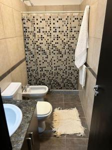 La salle de bains est pourvue de 2 toilettes et d'une douche. dans l'établissement Monoambiente amoblado, à Corrientes