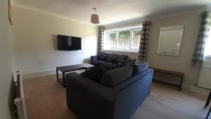 a living room with a blue couch and a window at Carvetii - Clark House - Spacious ground floor flat in Rosyth