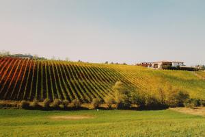 Gallery image of Agriturismo Le Casette in Castelvetro di Modena