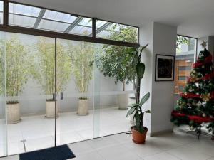 ein Zimmer mit einem Weihnachtsbaum und Pflanzen darin in der Unterkunft Sisters- Apartamento cómodo y familiar in Cochabamba